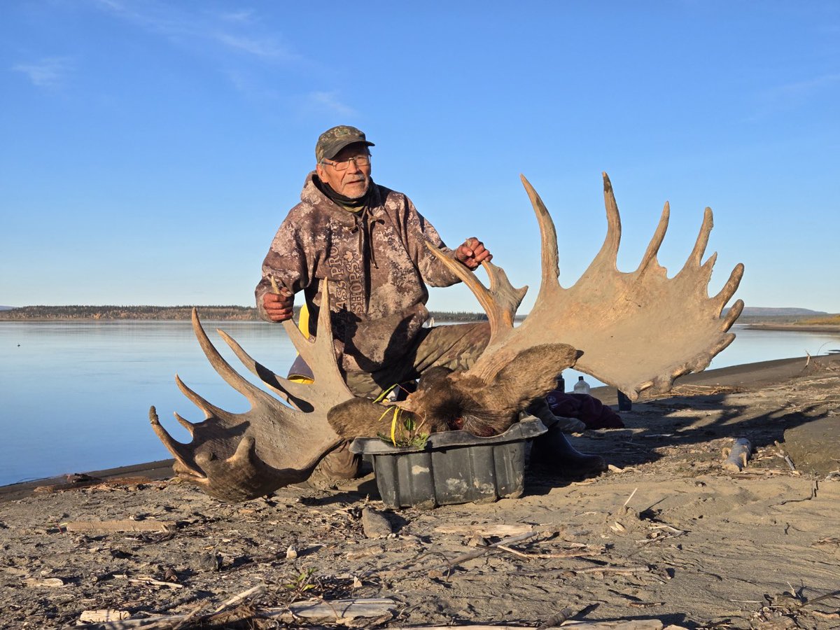 Jonas Antoine of Liidlii Kue shoots a moose in the fall #hunting #canada #moose