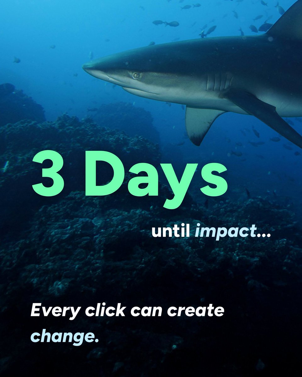 Wave_Browser's tweet image. Three days until the reveal. 🌊 Every session online could soon help make waves in the real world.

#SurfTheWebSaveTheOcean #BrowseWithPurpose #WaveBrowser #OceanConservation #PlasticFreeOcean #SaveOurOcean #3Days