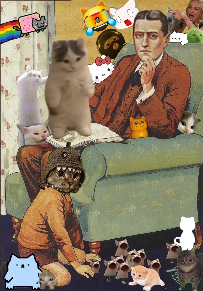 Grandpa won’t stop talking about the Cat Coin Super-Cycle