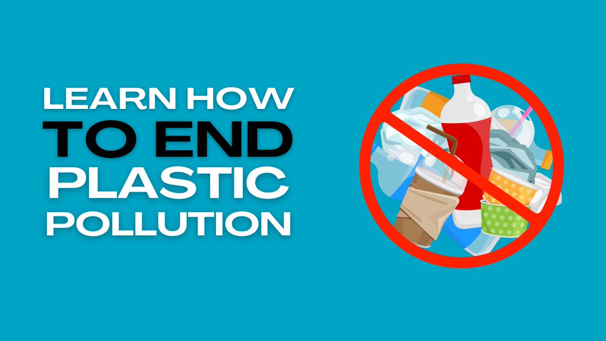 PlasticsBeyond's tweet image. We can achieve a world without plastic pollution, but we need to build a bigger, more powerful grassroots movement to do it.

How can you help? Register for the free, upcoming Beyond Plastics Grassroots Advocacy Training. 

beyondplastics.org/trainings