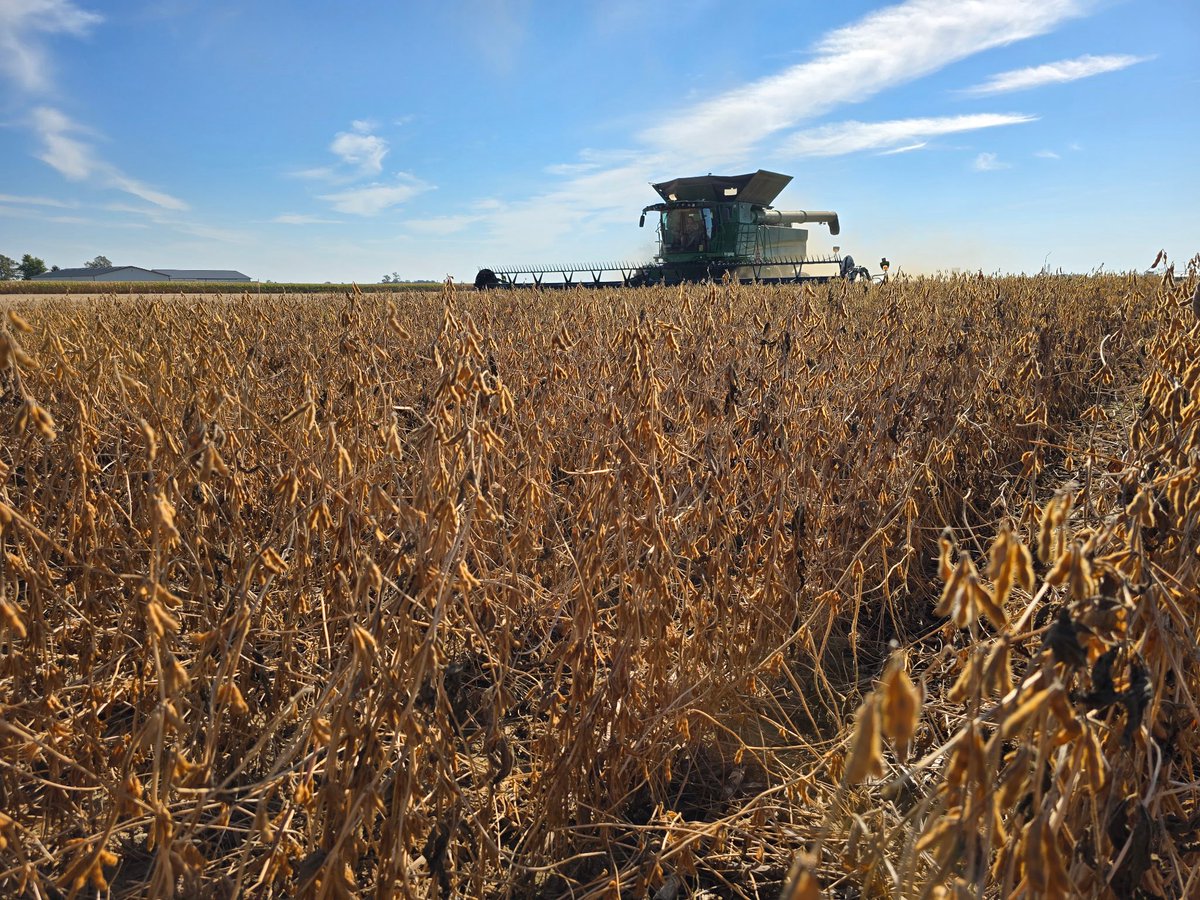 SunriseCoopOH's tweet image. A beautiful day to take off a #soybeanplot in Clinton County, Ohio. #XitavoSoybeans yielding nicely!

#PCTSunrise #Folrfeed #StandUp #BioBuild @BASF #harvest25 #SunriseCooperative