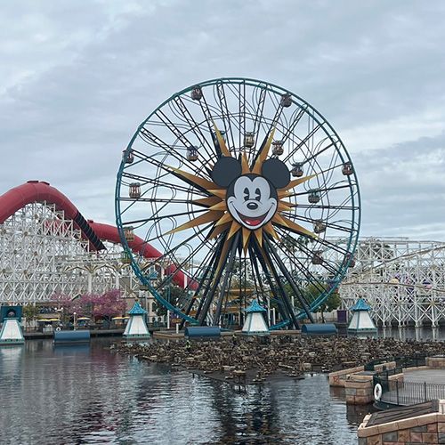 pragmaticmom's tweet image. Disneyland: Top 10 Tips from a First Time Disney Mom - buff.ly/VkOq3fr via @alldonemonkey #Disneyland #vacation #firstime