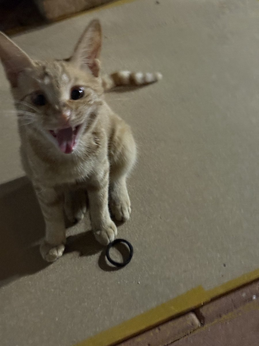 laier's tweet image. 