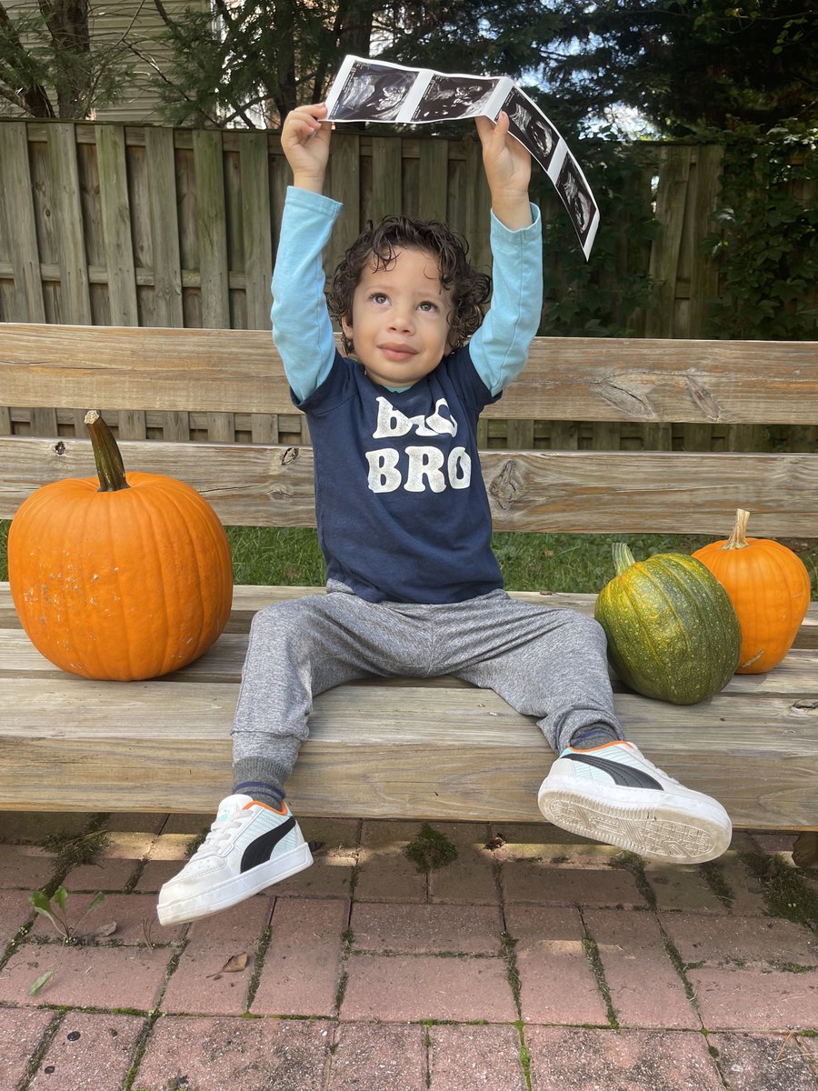 Washington Spirit tweet media