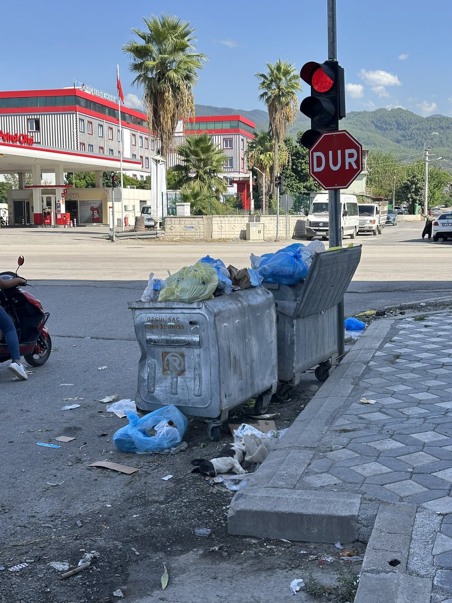 selmakcbs's tweet photo. Burada bir çöp koyteynerine ait farklı fotoğraflar görüyorsunuz,ekstrası ise ölmüş bir köpeğinde burada bulunması.#dörtyolbelediyesi nin çöp alım-çevre bakım konusunda yetersiz ve eksik kaldığını düşünüyorum(üzülerek!Çünkü bu şehir bunu hak etmiyor) @drbahadiramactr https://t.co/TUXMx3g2hM