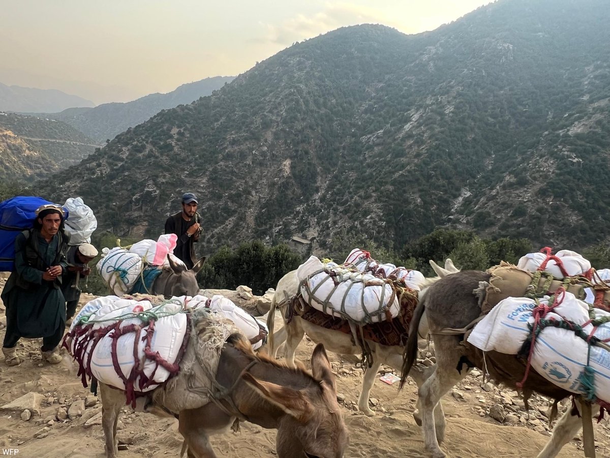 One month on, the devastation caused by multiple earthquakes in Eastern Afghanistan still grips thousands of families.

The need remains urgent.

Whatever it takes, our <a href="/WFP/">World Food Programme</a> frontline colleagues continue to deliver vital food assistance to people in need — wherever they are.