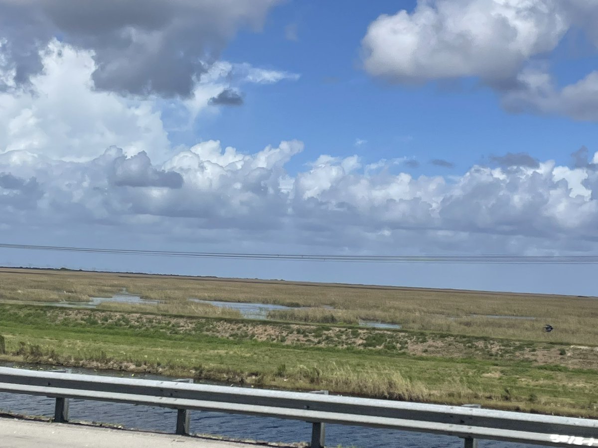 GFY.algo tweet media