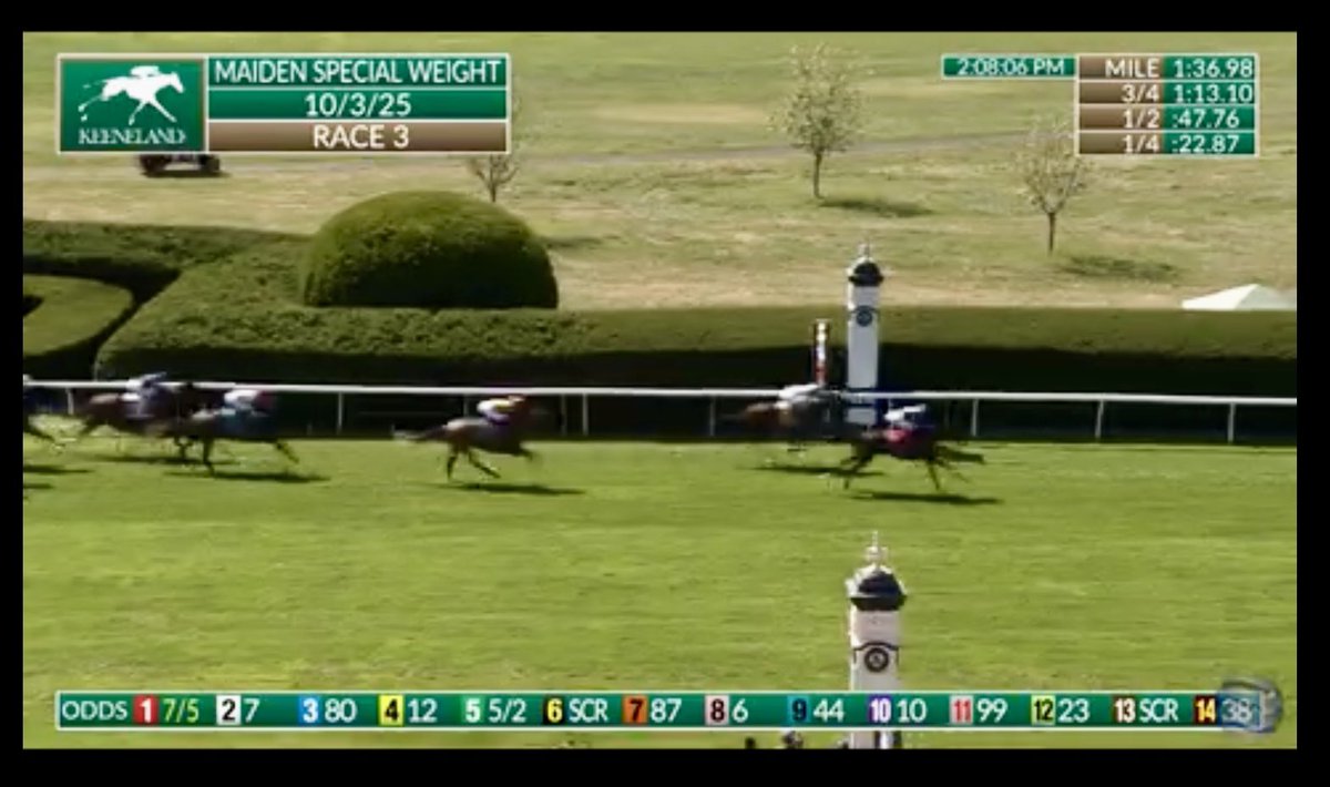 Derby1592 tweet media