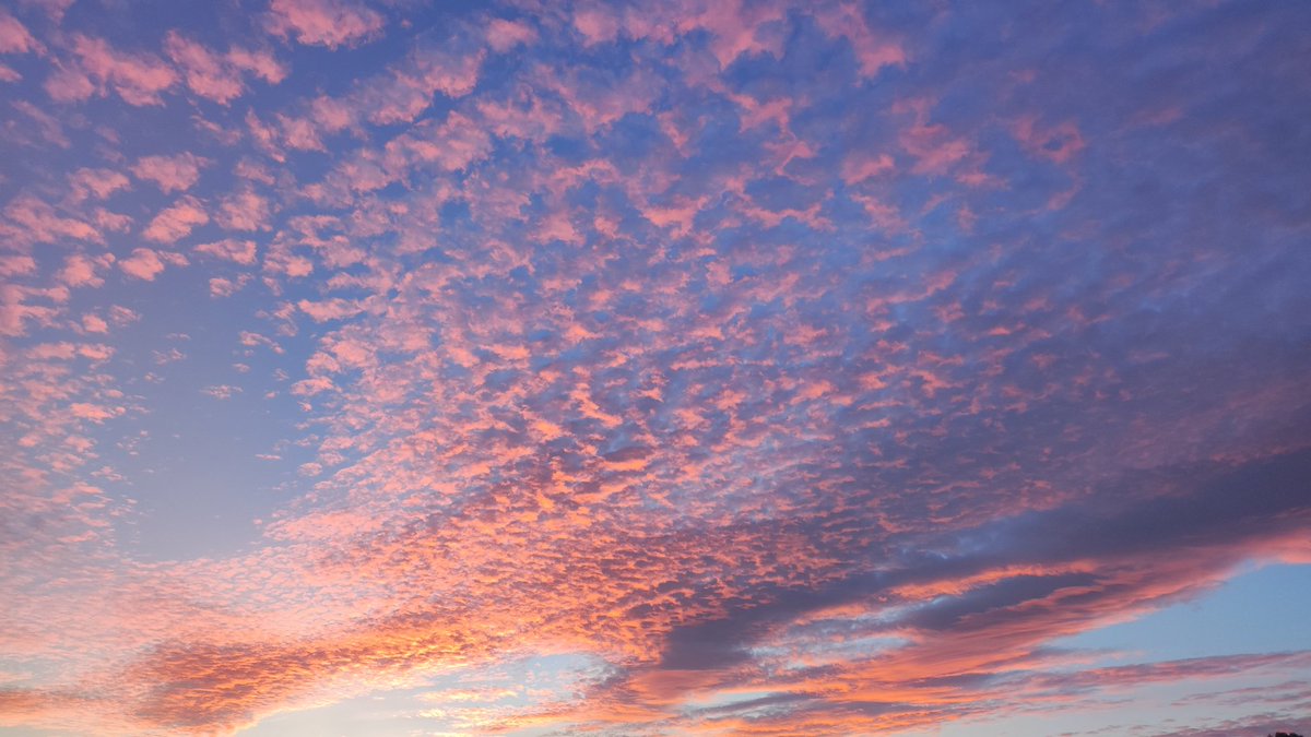 diostuitero's tweet image. Hoy le he dado unos tonos rosados a mi despacho.