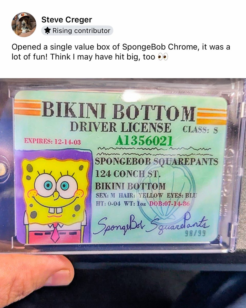 SpongeBob SquarePants' Drivers License Card 98/99 from 2025 Topps