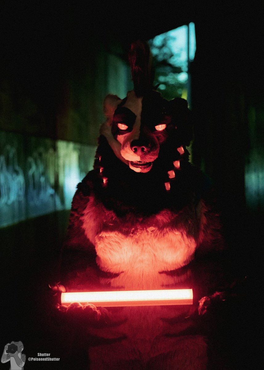 Millitrix01's tweet image. There’s always a light at the end of the tunnel 💀

📸: @PoisonedShutter 

#fursuit #fursuits #fursuiter #furry #furryfandom #cyberpunk #cybernetic #fursuiting #furrycommunity #furrys #FursuitFriday #FursuitsFriday