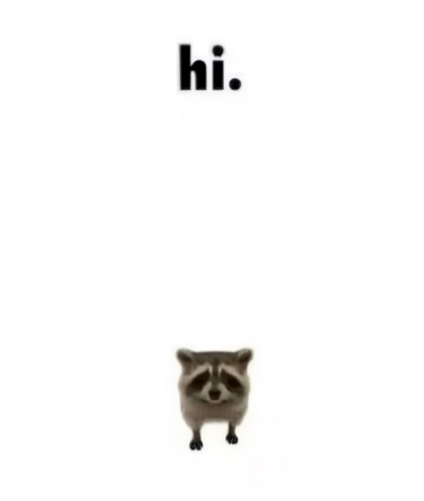 Why you should have a Raccoon tweet media
