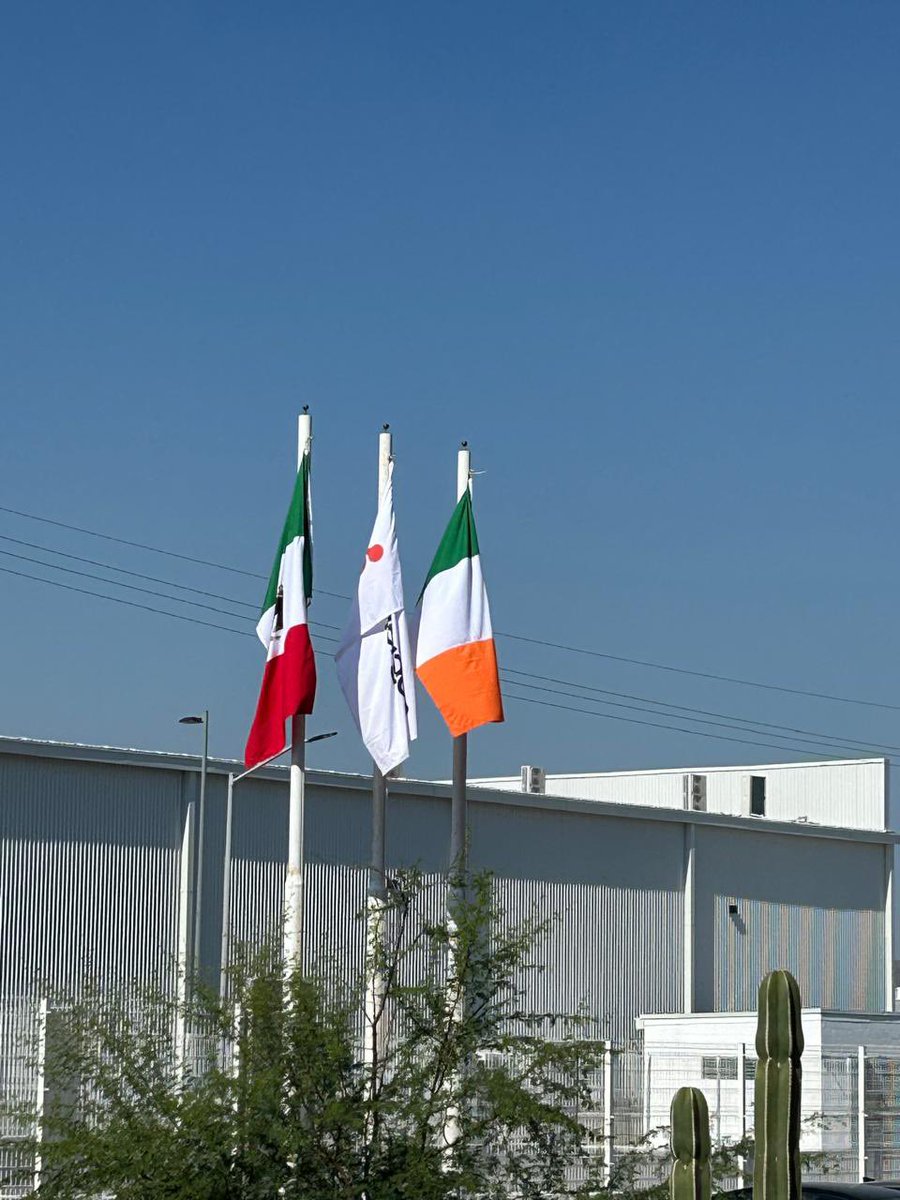 Irish Embassy Mexico 🇮🇪🇲🇽 tweet media