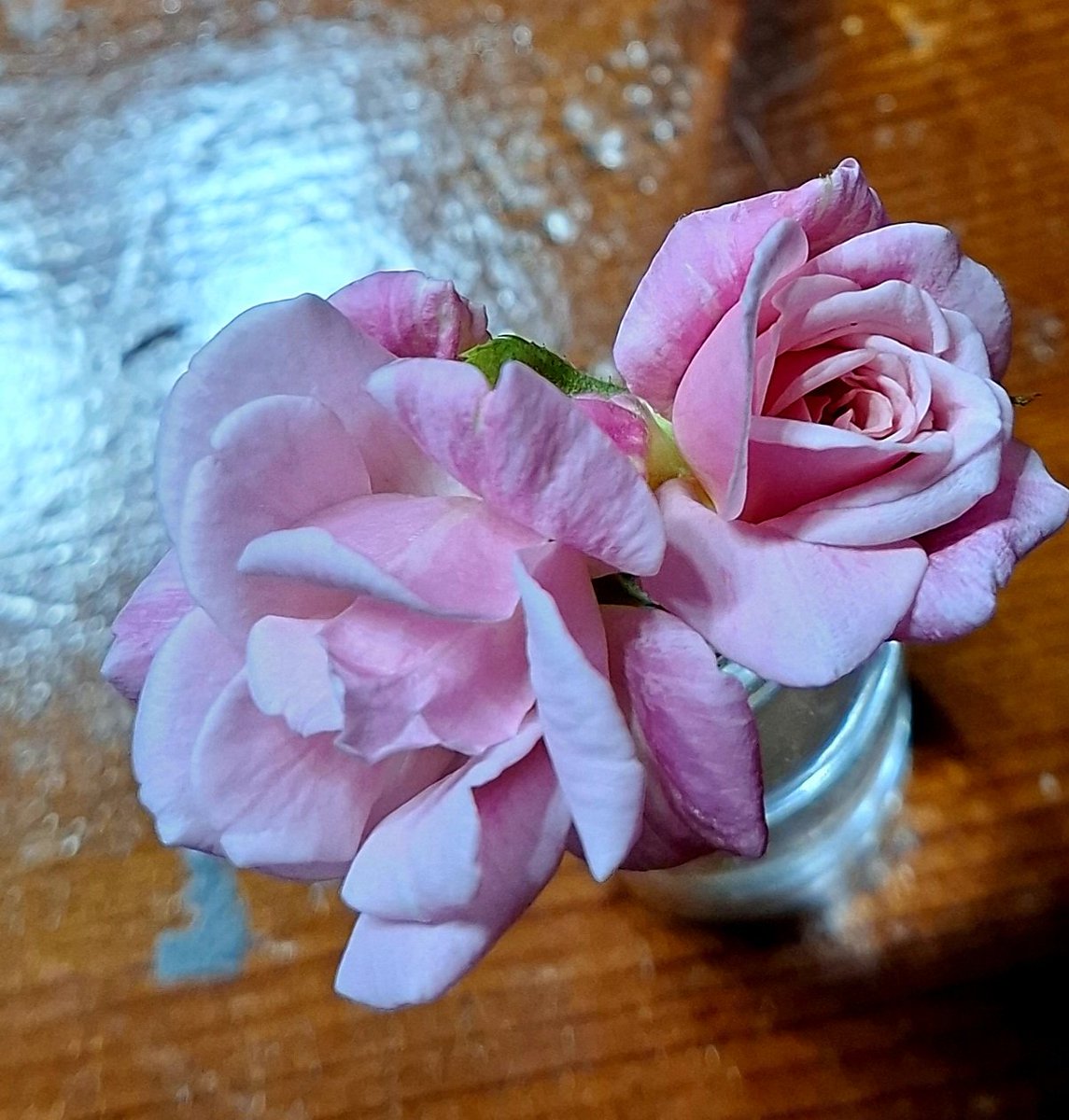 Bon cap d setmana👍😘😘