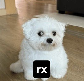 Rxfx (@djrxfxx) on Twitter photo 