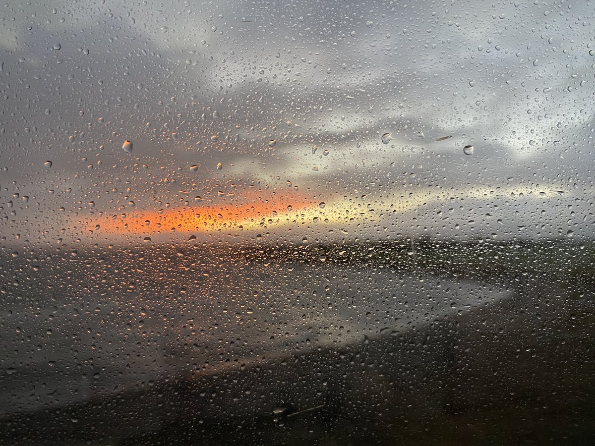 ⚠️ Igor Brigadir 🇺🇦 (@igorbrigadir) on Twitter photo 