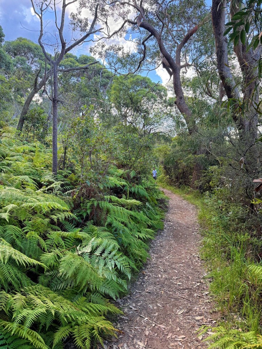 道中には、見逃せない景色が必ずあります。注意深く観察していれば、自然の魔法にきっと驚かされるでしょう。