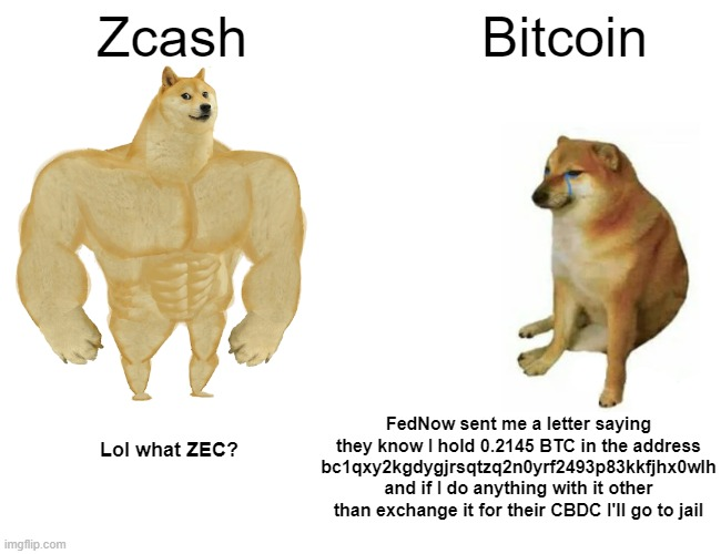 Zcash의 프라이버시 강도와 감시에 취약한 Bitcoin을 비교하는 도지 밈