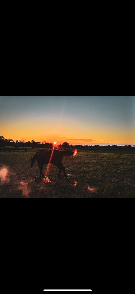 Dermot Littlefield 🇮🇪 tweet media