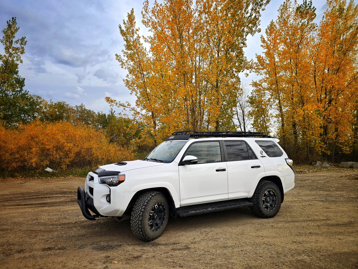 Shannon Bileski☈ tweet media