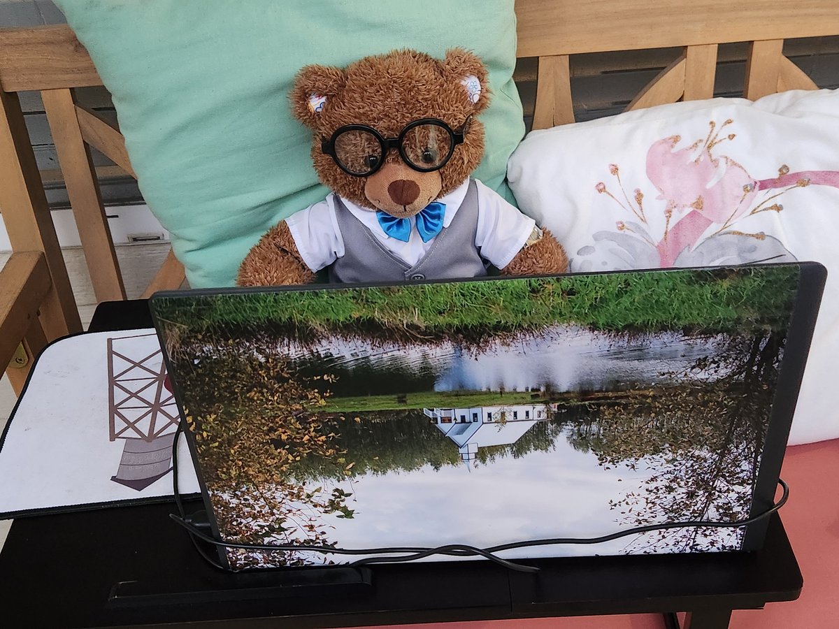 Teddy Bear Lucas is using my computer to email his plushy friends. #teddybearlucas