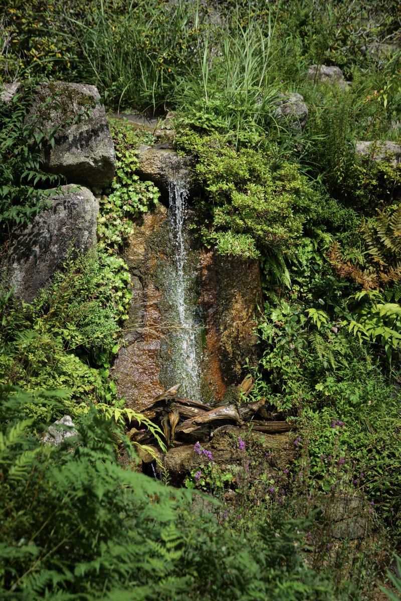 カメラ活動1019日目

LUMIX S5
S24-105