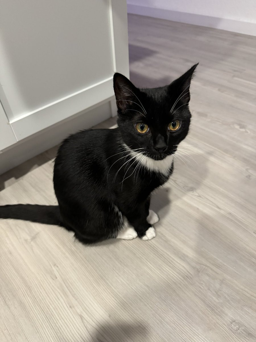 YES I’m loving the BO7 Beta

NO I’m not having fun leveling my weapons :D