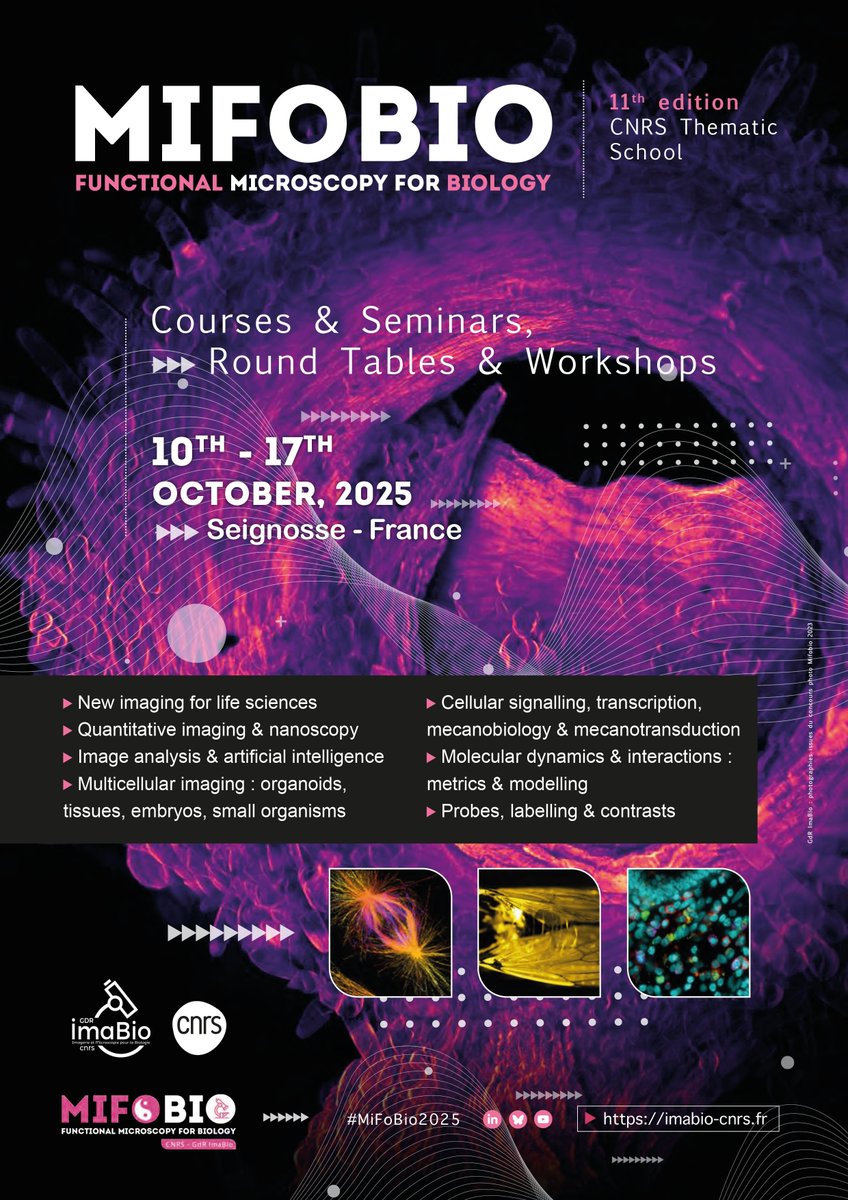 GDR_ImaBio's tweet image. 🔬For 22 years, we have been organizing #Mifobio &quot;Functional Microscopy for Biology&quot; the
@CNRS thematic school.   

🎓 Courses, Seminars, Round Tables, Workshops. The overall theme concerns #biological_imaging in its most interdisciplinary aspects.  

👉 imabio-cnrs.fr
