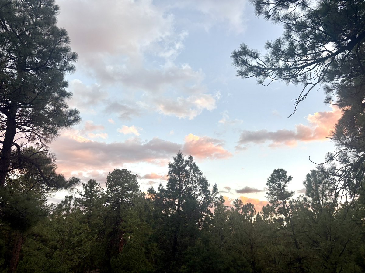 Goodbye beautiful New Mexico.  Land of enchantment, mañana and the inability to obtain a properly calibrated fountain drink.  Of any kind.  Ever.   Plains Coke here I come.