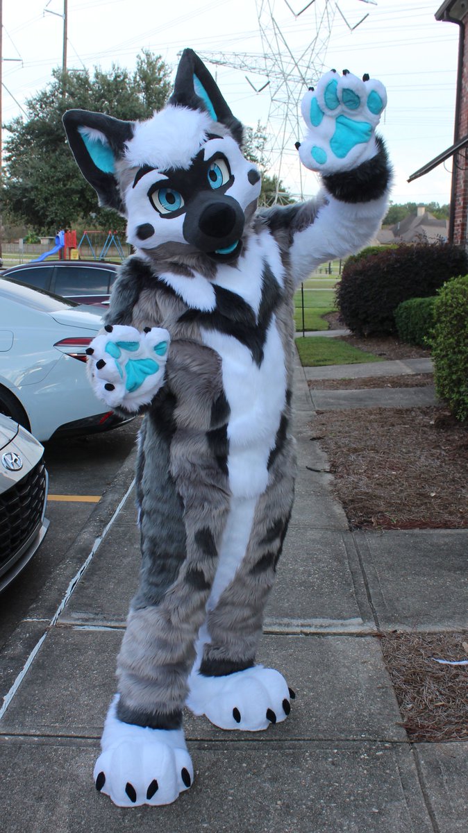 Happy Fursuit Friday!! Finished up this cute gshep a few days ago! Ler's welcome Ranto to the Fire Wolf Family!! Isnt he adorable!!

Additional Pics in thread!!