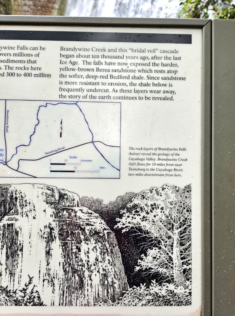 Sarah Wasik tweet media