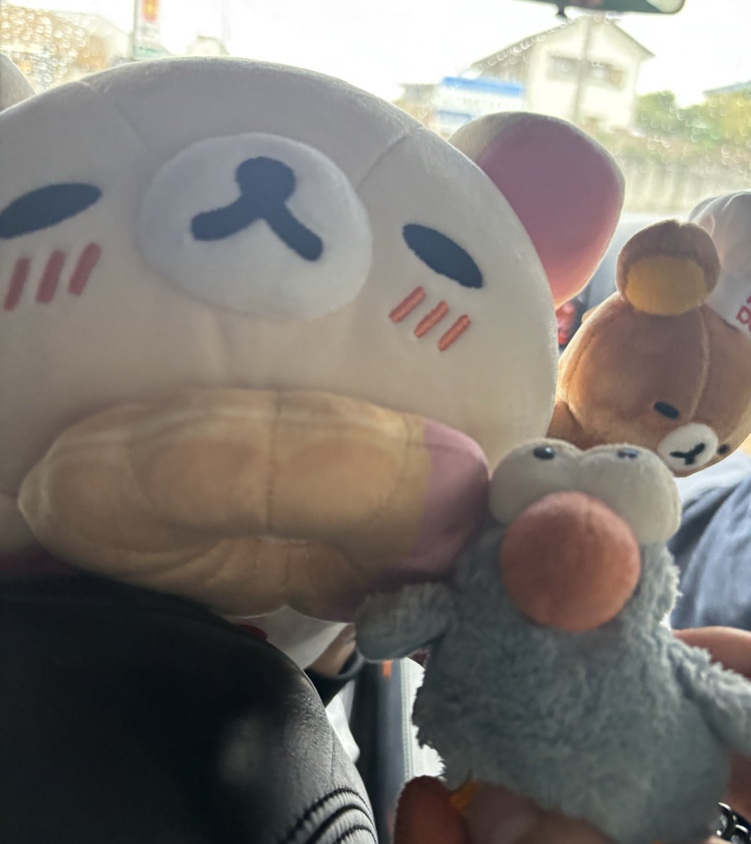 Post by にゃんざい先生X1日目東メ-49ab on X: 東京行くせう〜！