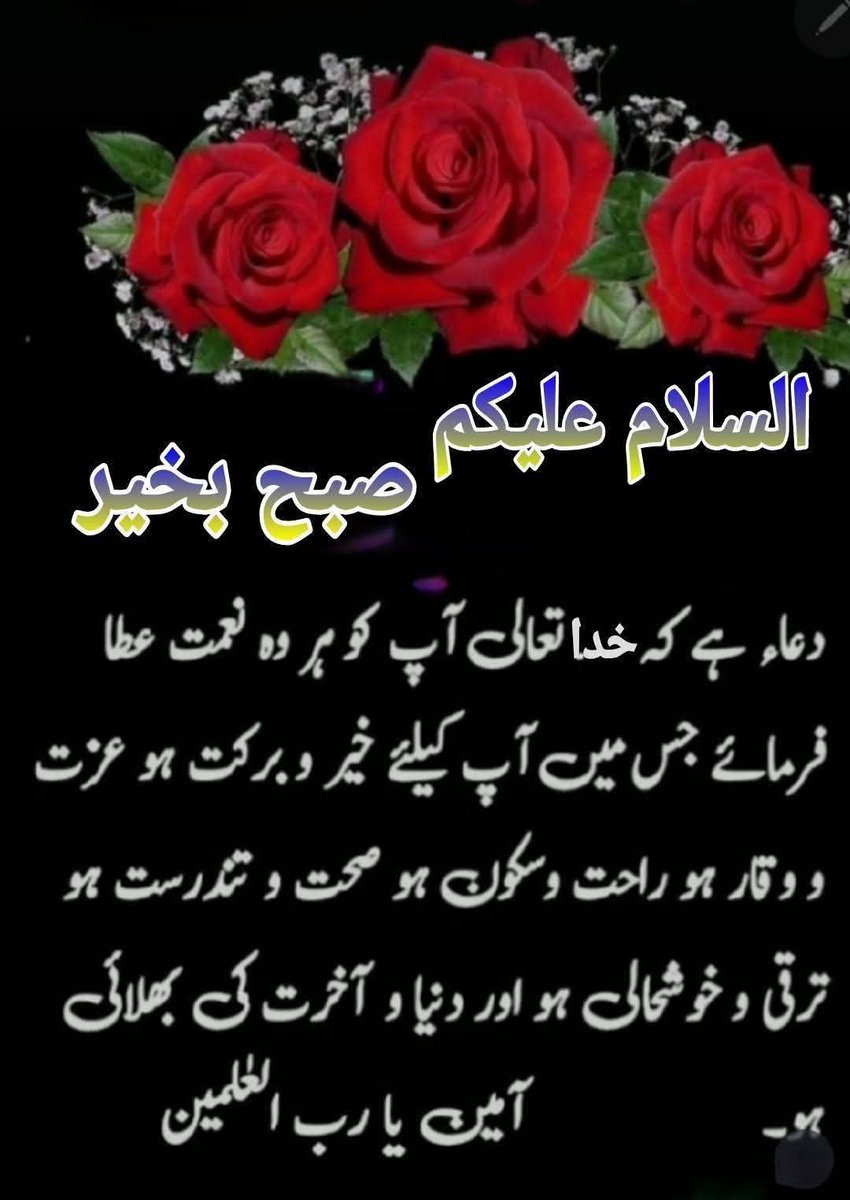 اسلام وعلیکم