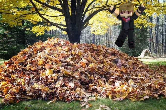 where is cuteguy? tweet media