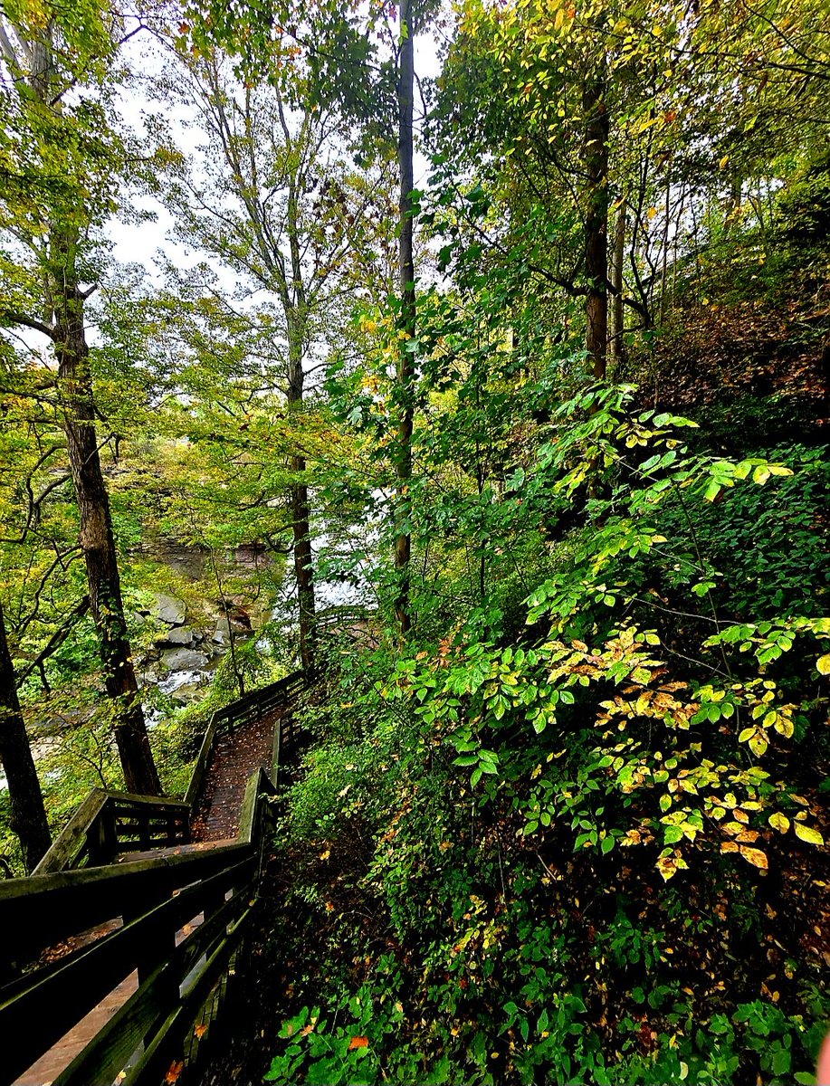 Sarah Wasik tweet media