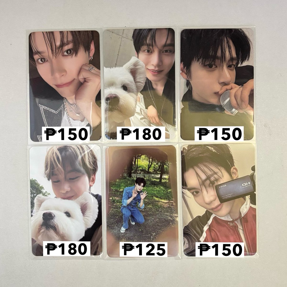 cupidzhaul's tweet photo. #cupidzsell 🧸 | wts lfb zb1 ph .ᐟ

↳ zerobaseone pc 🍥
╰ php: price in pic

𐙚  onhand, x sensi!
𐙚  payo | 1 week dop

   - reply / dm to claim

𖥻 album pc photocard never say never digipack hanbin jiwoong zhanghao matthew gunwook https://t.co/jIY5ikS7jv