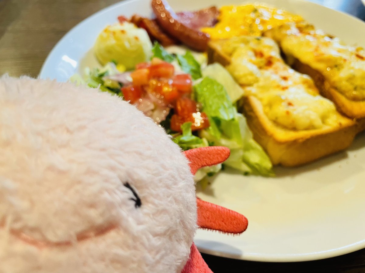 自撮りしました
おはようございます
