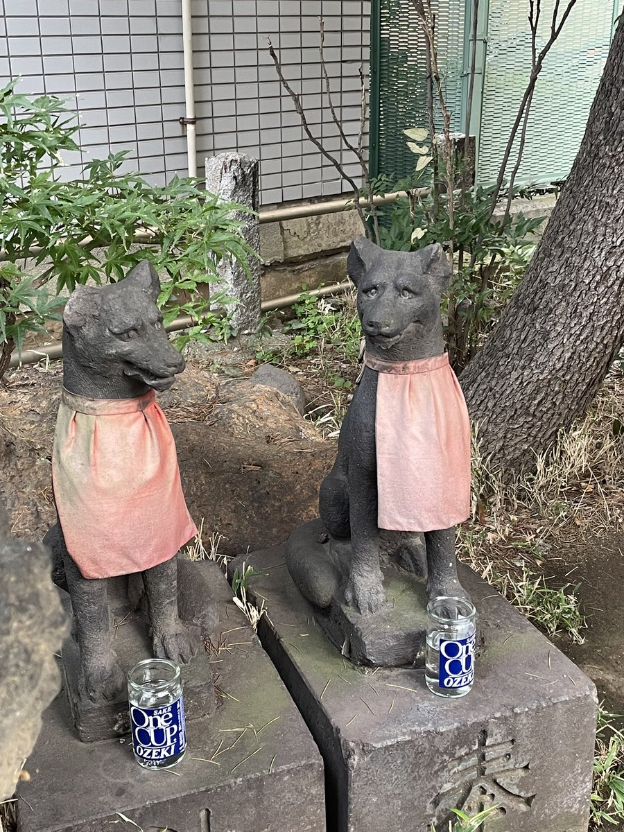 1221ookami's tweet image. #いまここ 東京お犬様巡り

三河島三峯神社⛩️様