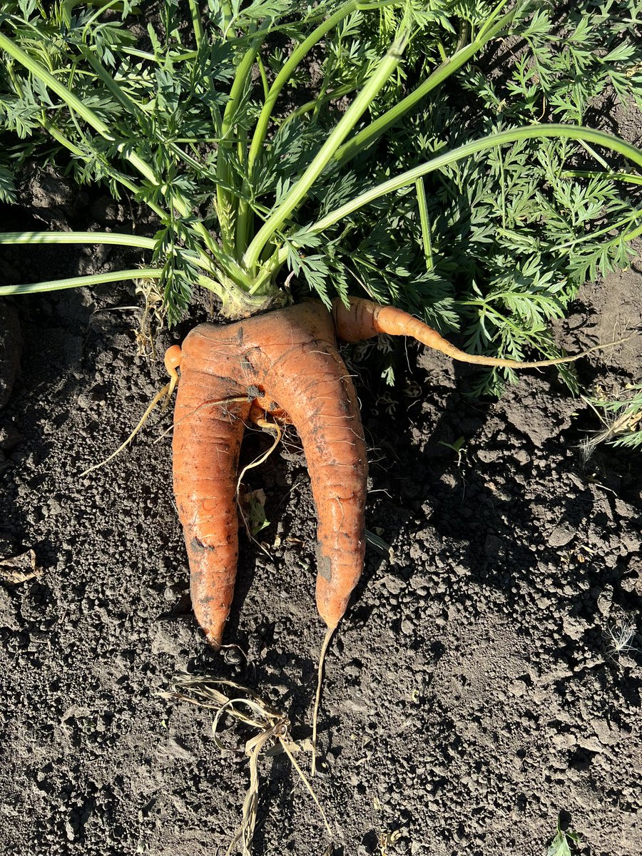 Airdrie Ag Society tweet media