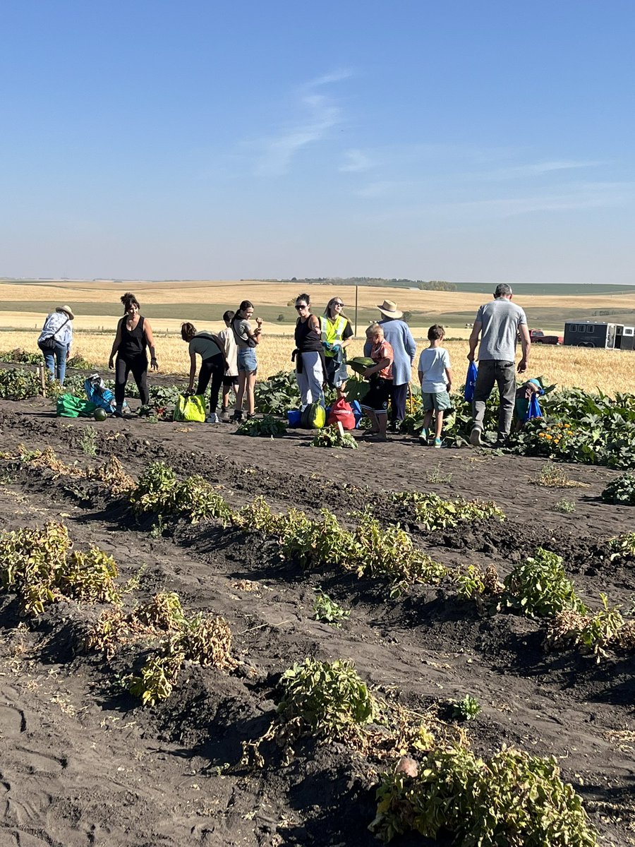 Airdrie Ag Society tweet media