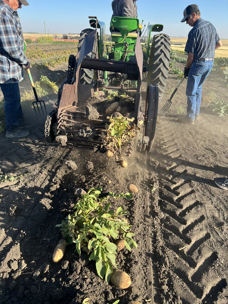Airdrie Ag Society tweet media