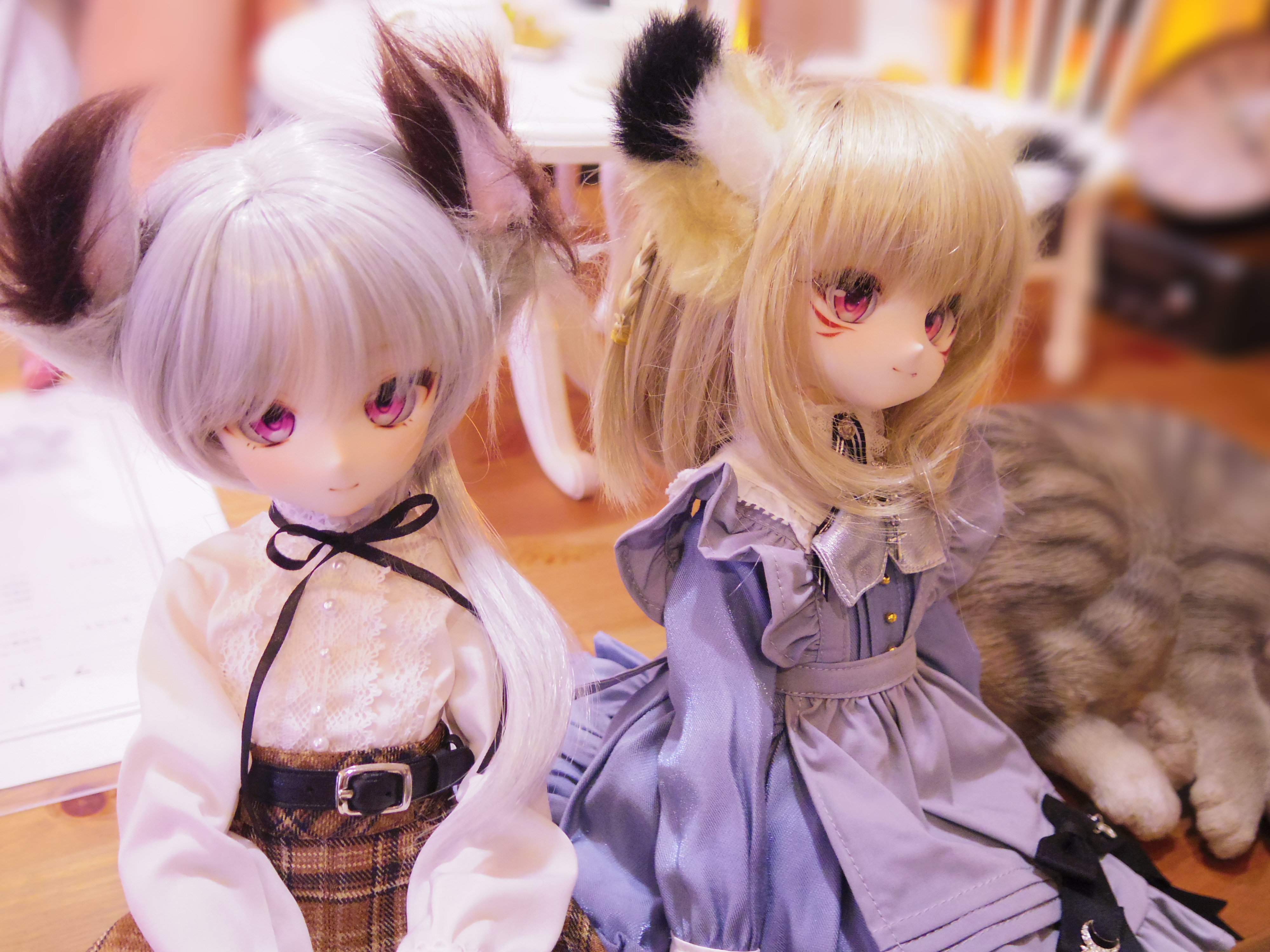 木茶ささと (@MujiaSasato) / X