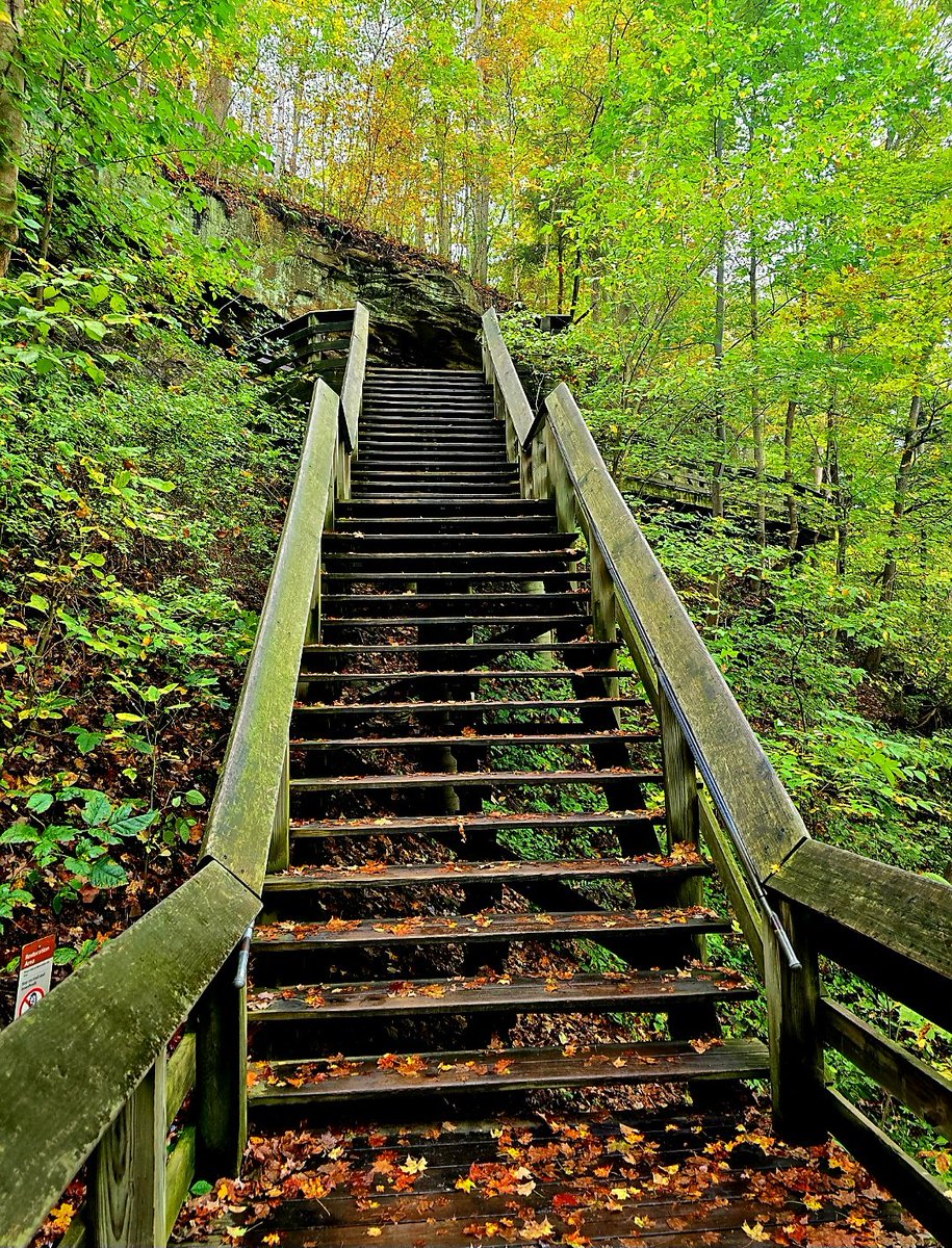 Sarah Wasik tweet media