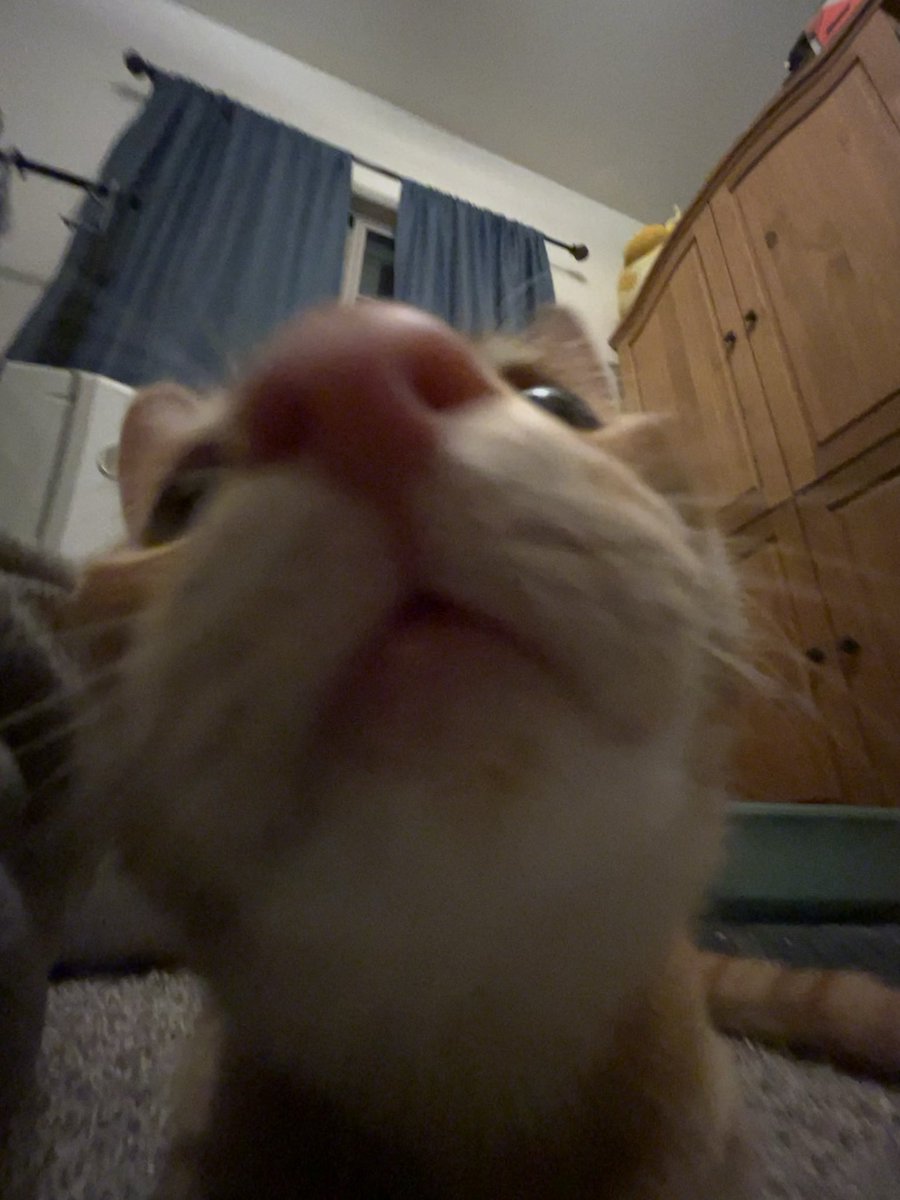 u got games on ur phone ?