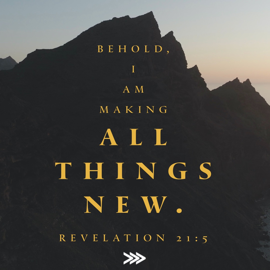 SpringboroBC's tweet image. 