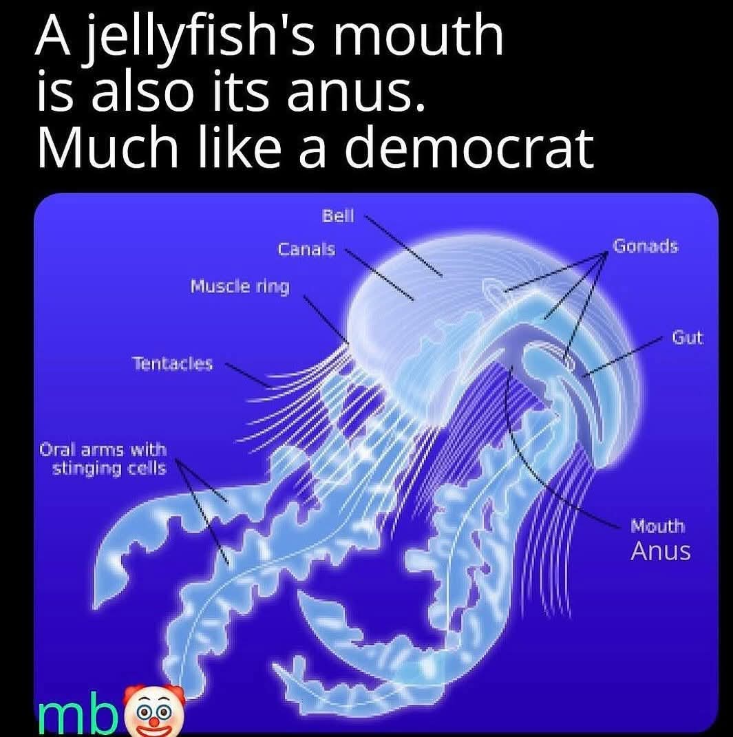 JamesKraz82's tweet image. 