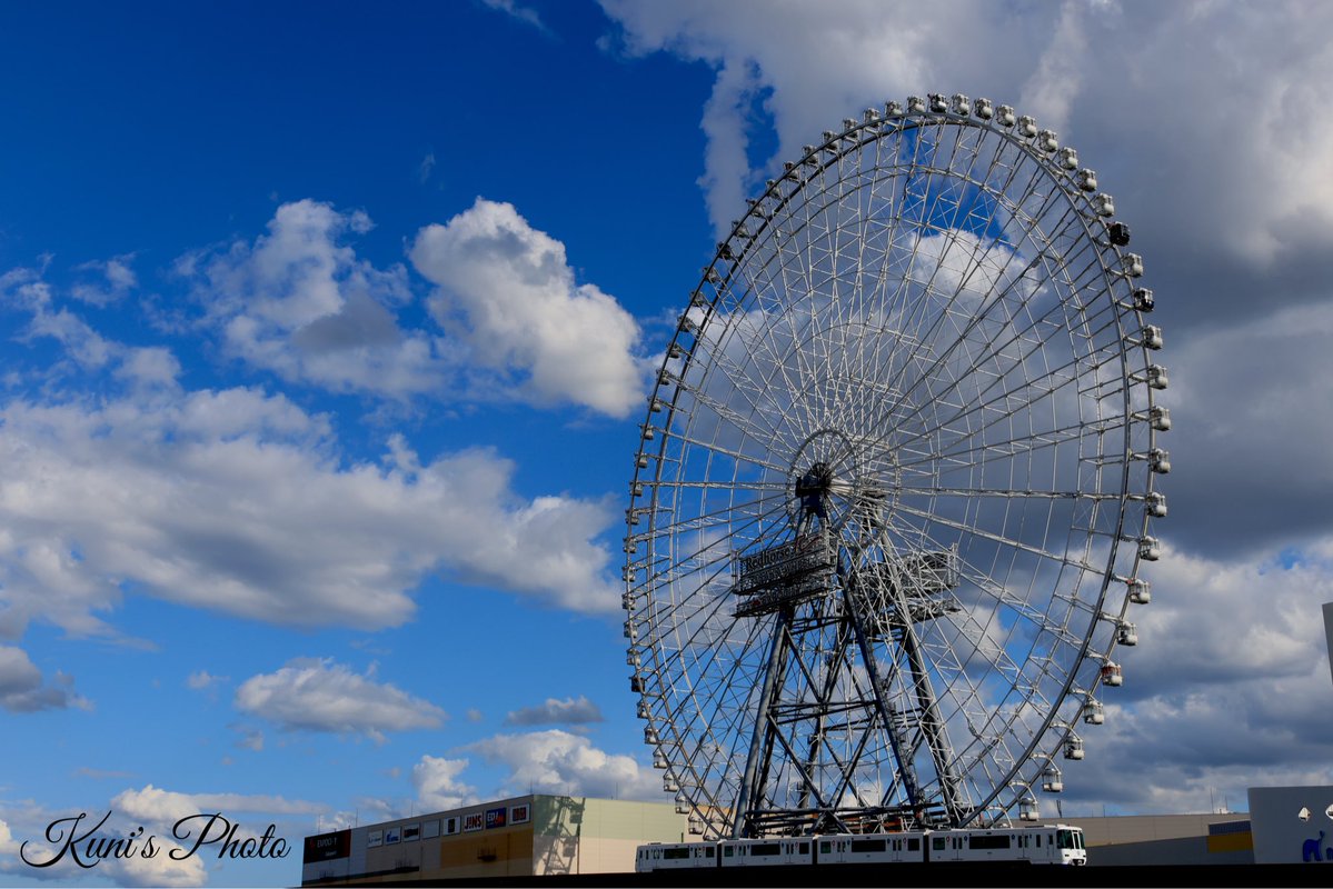 eD0fWW0rP471443's tweet image. 大阪ホイールと呼ばれてる万博公園の大観覧車🎡
乗ったことはありません😅
#万博
#吹田市
#エキスポ
#アウトレット
#モノレール