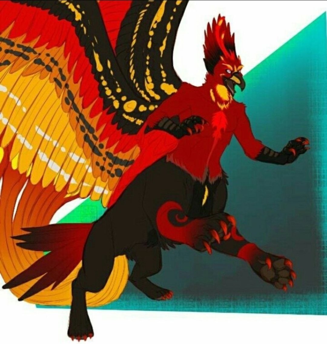 Someone mention it Hippogryph weretober?