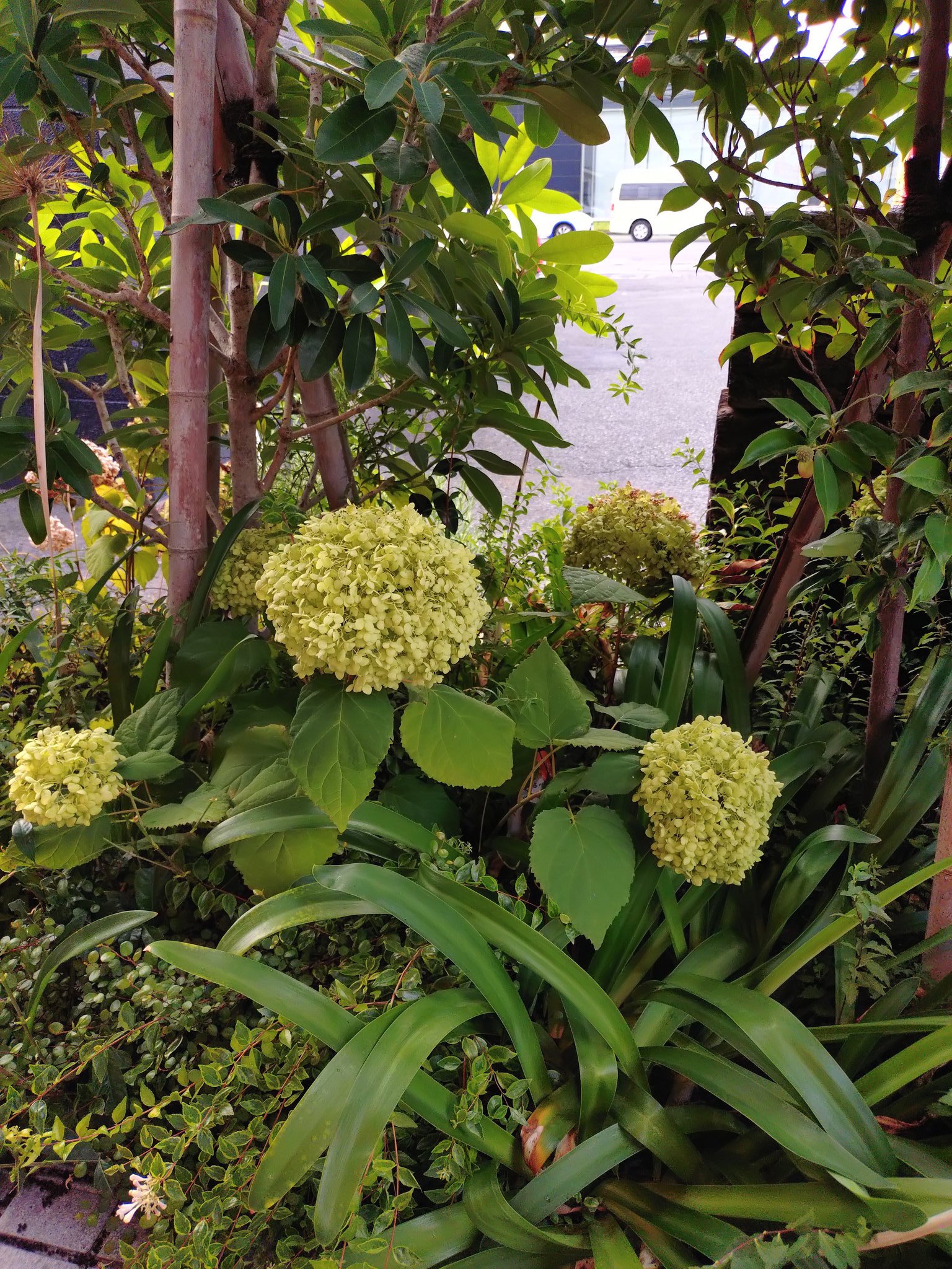 一点物作品】Narcolepsy1999 RE:FLOWER《GREEN》 2025年最新】小山市 鑿の