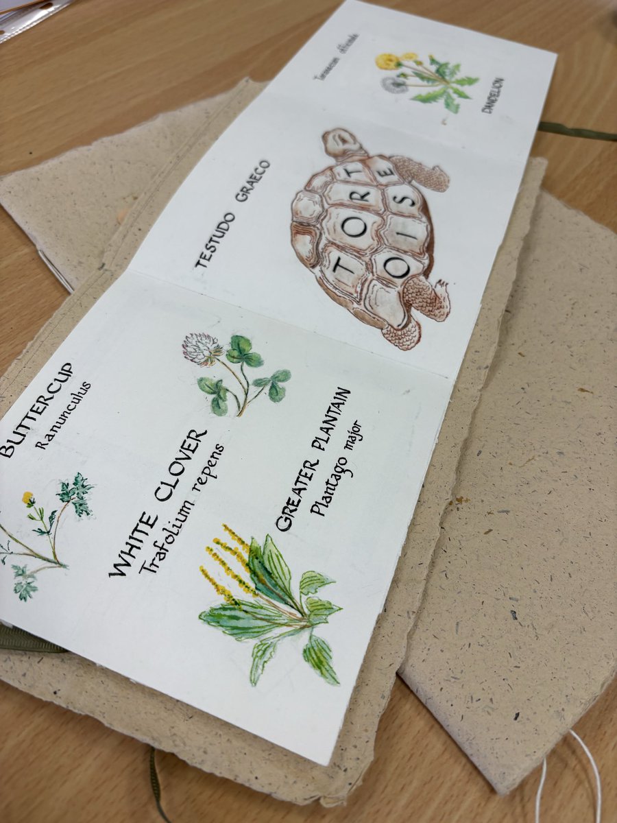 A little treat brought in by a member of my Friday group at Ocean Road Centre - some work she did years ago while studying with the late Susan Moor, who was also my calligraphy tutor when I first started out.